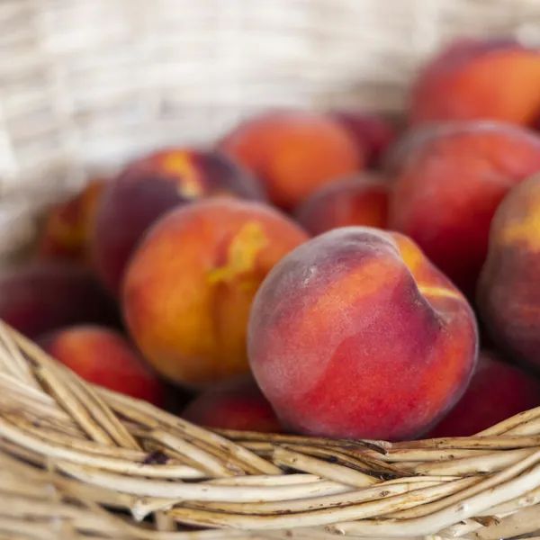 A basket of fresh peaches